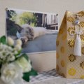 大切な愛猫の『お骨を手元供養』するときの注意点3選　保存方法は？いつま…