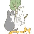 話題の猫の漫画『うちの猫がまた変なことしてる。』をご紹介！著者の…