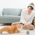 猫が『嫌いな相手』には間違ってもしない7つのこと　愛猫の態度でわか…