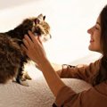 猫が思う『撫でて欲しい人』の特徴3選