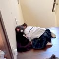 女の子2人が『猫吸い』をした結果→熱烈な頬ずりを受けたネコの、『愛…