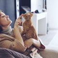 猫が嬉しくなる飼い主からの言葉6つ