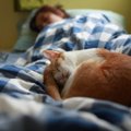 猫が飼い主さんと『一緒に寝たい♡』と思う4つの理由　添い寝してもら…