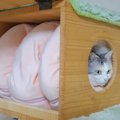 キャットタワーをふわふわ冬仕様に！