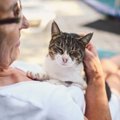 猫が『飼い主さんにべったり依存』してしまう3つの原因　放置すると起こり…