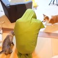 中学生の女の子が、全身にクッションカバーをかぶった結果→見ていた犬…