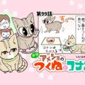 半分アメショのつくねとコナン【第99話】 「食べないの？」