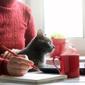 猫愛が深すぎる女性がペットシッターに渡した、愛猫の「細かすぎる指示書…