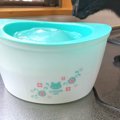 愛猫のお水を飲む回数が増えた！買ってよかった自動給水器