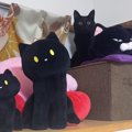 「黒猫まみれ♪」ぬいぐるみの中に紛れ込んでいる猫ちゃんが可愛すぎる…