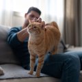 猫から『モテる』ために試したい５つの方法　好まれる人の条件とは？避け…