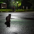猫に関する『気になる疑問』4選　猫よけ水に効果はあるの？正しい知識まで…