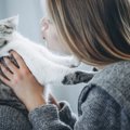 愛猫が懐いてくれない人に共通する4つの特徴　たくさん当てはまると要…