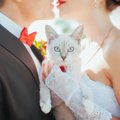 キスの代わりに募金！結婚式で「保護動物への寄付」を呼びかけた新郎…