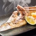 【獣医師監修】猫に焼き魚を与えても大丈夫？人間用がNGな理由と安全な与…