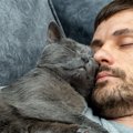 猫が『大好きな人』だけにする5つの仕草・行動