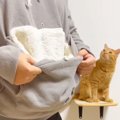 パーカーのポケットに『猫を入れてみた』結果…まさかの『可愛すぎる光景』…