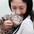 猫から好かれる人はココが違う！3つのポイントを紹介