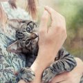 猫を撫でたとき甘噛みしてくるのはなぜ？５つの理由と止めさせる方法