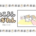 ねこよんコギわん【第16話】「謎のシャクシャク音。」