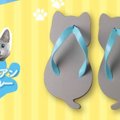 新色『ハチワレ＆ロシアンブルー』が登場！猫好きにはたまらない「に…