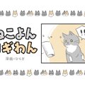 ねこよんコギわん【第38話】「芯が好き」