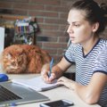 大学図書館で学生を癒すやさしい猫が「非公式マスコット」として大人気に…