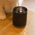 水でびちゃびちゃになっていたテーブルの上→そばにいた『猫の顔』を見たら…