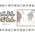 ねこよんコギわん【第33話】「すずの甘噛み」