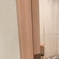 『静かになった子猫』が心配になり様子を見に行った結果…まさかの光景…