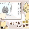 きょうも、お猫さまはいとをかし。【第27話】「無言の訴え」