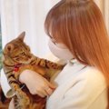 猫が『５日ぶりに帰宅したママ』に見せた反応…愛おしすぎる光景が80万再生…