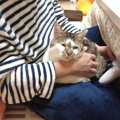 『ぼくが添い寝をしたいのはママだけ！』パパを猫パンチで拒絶する猫…