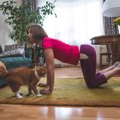 猫は『飼い主のマネ』ができる？そう思いたくなる“猫マネ”行動3選　実…