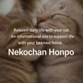 What is Nekochan Honpo?
