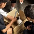 トンネルの中を走る『小さな子猫』を発見…一度帰宅するも、気になって戻っ…
