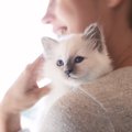 猫が喜ぶ『抱っこ』って？3つのコツと良きタイミングとは