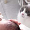 初めて『生まれたばかりの赤ちゃん』を見たネコ→興味津々な様子で……微笑ま…
