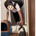 お兄ちゃんが玄関に向かうと、猫がやって来て……お出かけ前の『微笑ま…