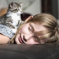 猫が飼い主の顔の上に乗るのはなぜ？6つの気持ち