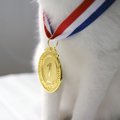 「金メダルは愛猫に捧ぐ」　米国フィギュアスケート選手からの贈りもの　