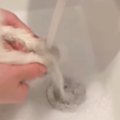 うんちを引っ掻いてしまった子猫→おててを洗うため、洗面台に連行した結果…