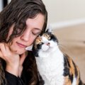 猫が『あなたの愛情』を受け取っているときのサイン5つ　幸せを感じている…