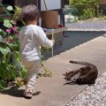古民家の軒下で遊ぶ子どもと猫…とんでもなく癒される『やり取りの光景』が…