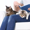 猫が飼い主さんの『ひざに乗りたくなる』ときの4つの心理　足がしびれ…