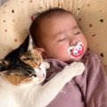 赤ちゃんが寝ていると、猫がやって来て……『優しく寄り添う光景』に思わず…