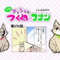 半分アメショのつくねとコナン【第171話】 「どれにしよう」