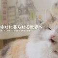 ペットシッターいらず？猫の飼い主同士をマッチングするサービス「Nya…