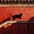 『キャット』が使われている英単語・ことわざ7選　なぜ猫が登場するの？意…