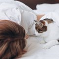 猫が『一緒に寝たい』と思う人が持っている特徴5つ　選ばれるためのコツや…